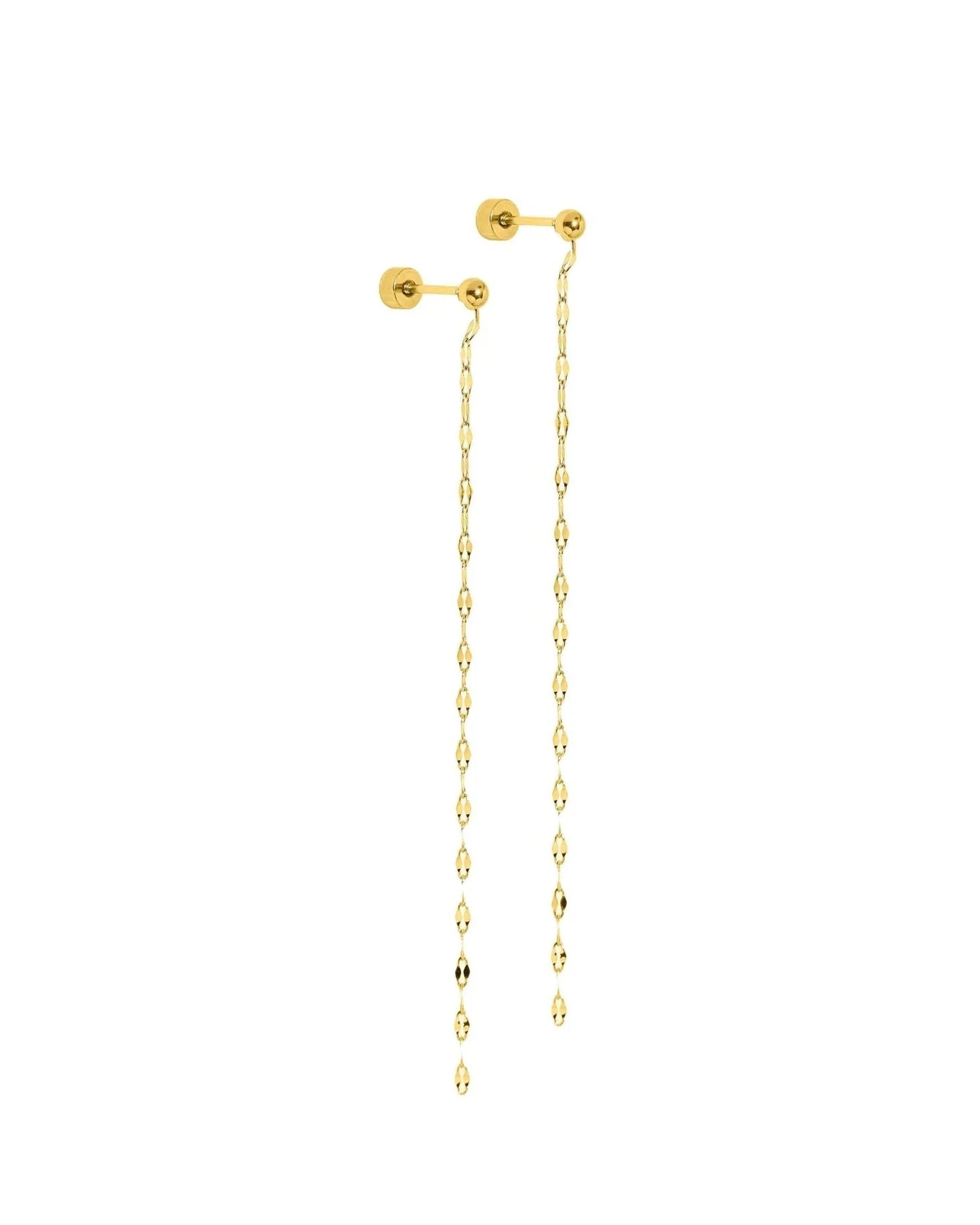 Devin Duster Gold Screwback earrings product photo