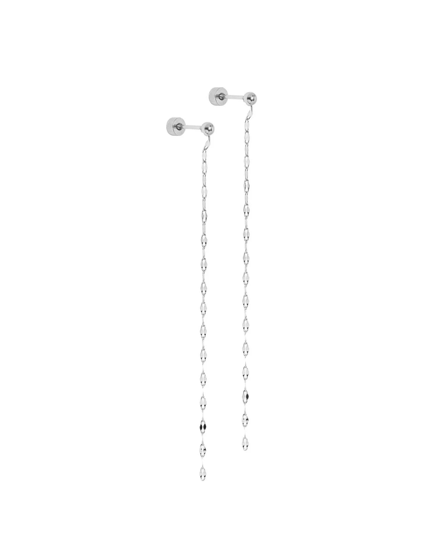 Devin Duster Silver Screwback earrings product photo